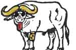 le fabuleux destin de Buffalo Bill